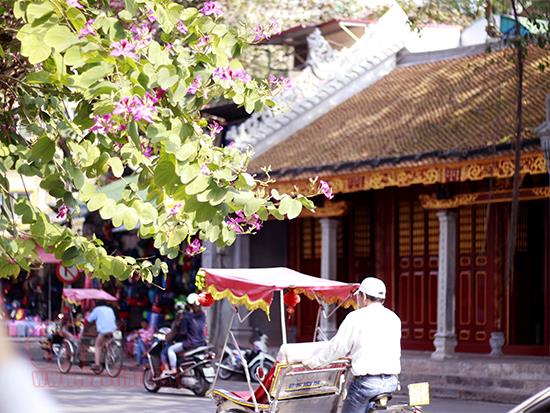 Miền Bắc sắp bước sang những ngày nắng ấm, có nơi gần 35 độ